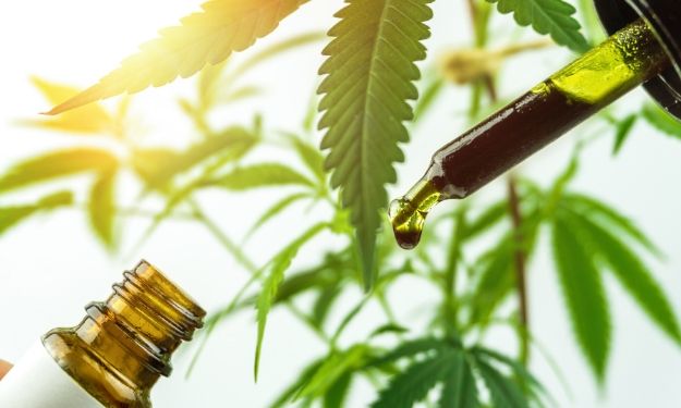 3 of the Top Professions in the Hemp Industry 3 of the Top Professions in the Hemp Industry